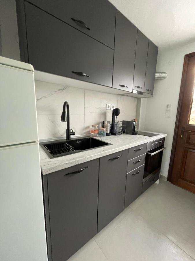 Sea View Loft Apartman Néa Róda Kültér fotó